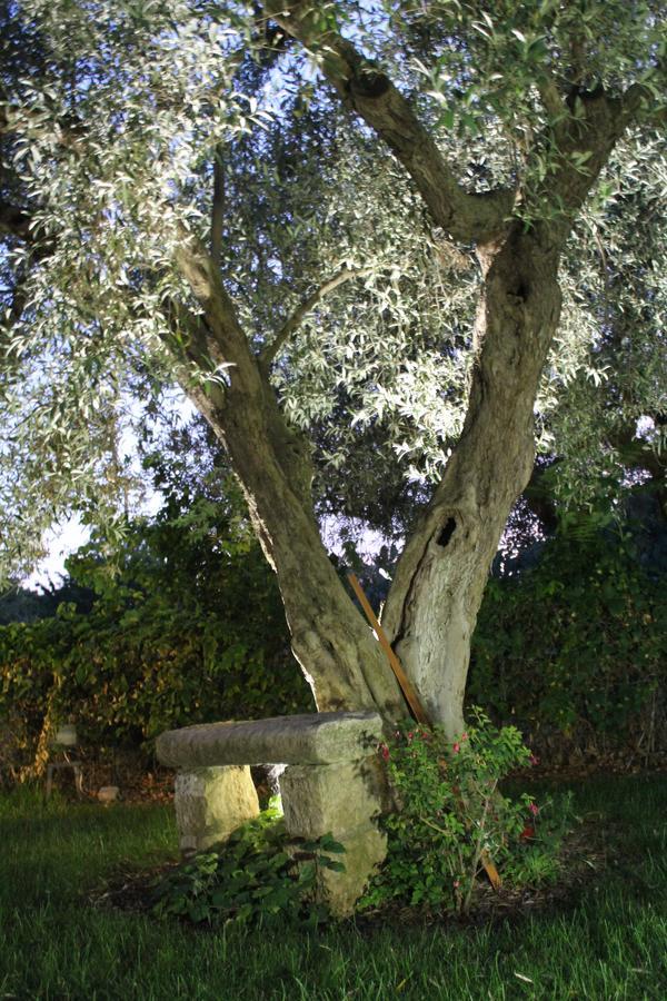 Appartamento Le Tre Palme Frigintini Exterior foto